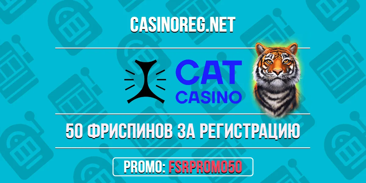 Cat казино промокод