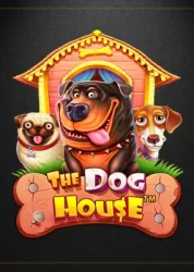 Обзор слота The Dog House