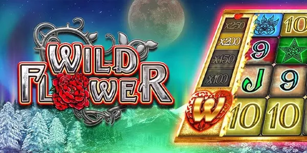 Wild Flower (Big Time Gaming)